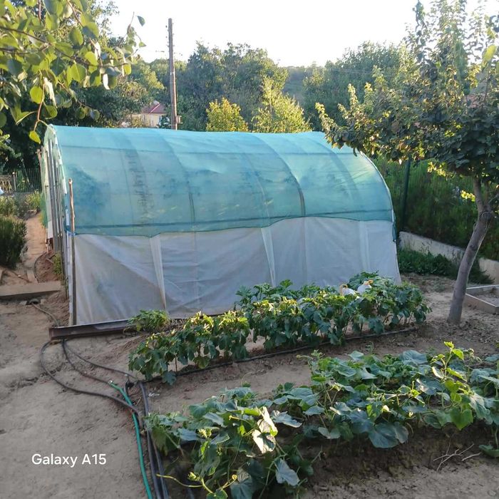 Продава се Къща в с. Калипетрово, Област Силистра - 50 кв.м за 918 €/кв.м - Снимка #9