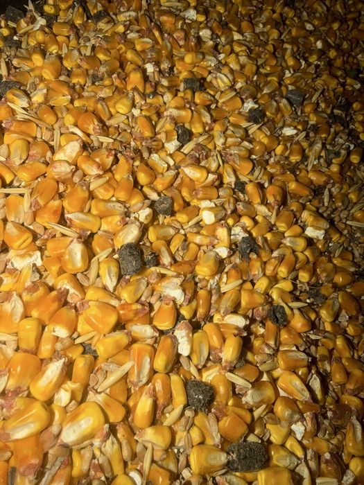 Huruiala pentru animale