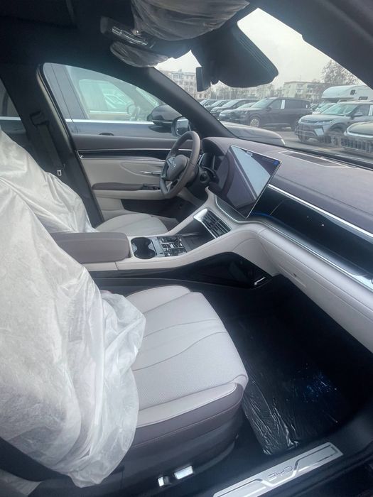 Other Song Plus EV Champion 2025 — 4