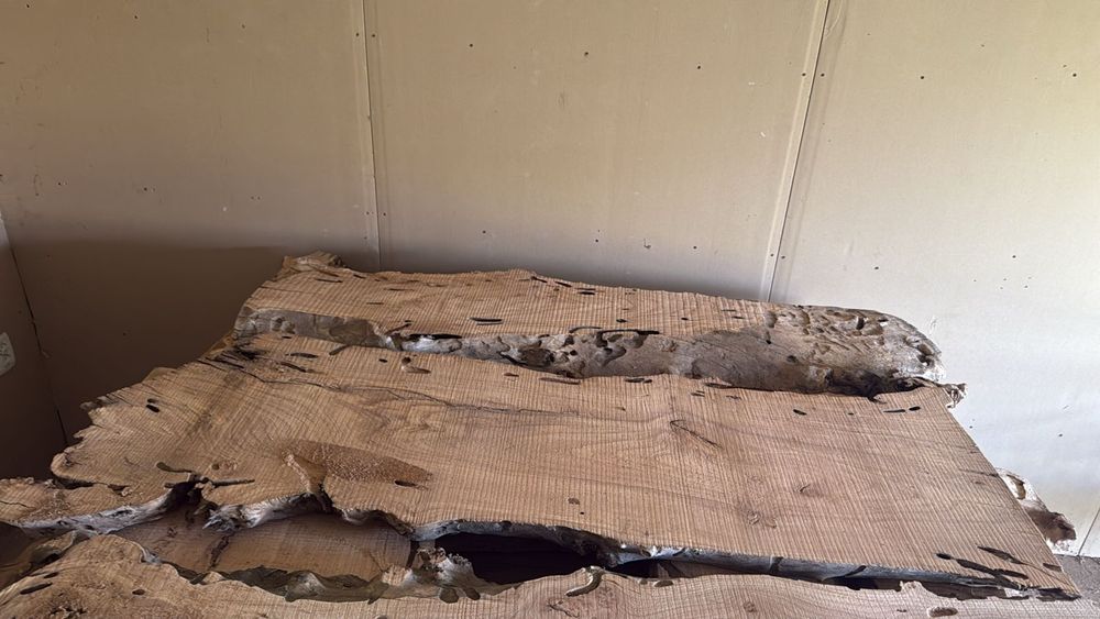 Караағаш. Лес. Сухой лес карагач !