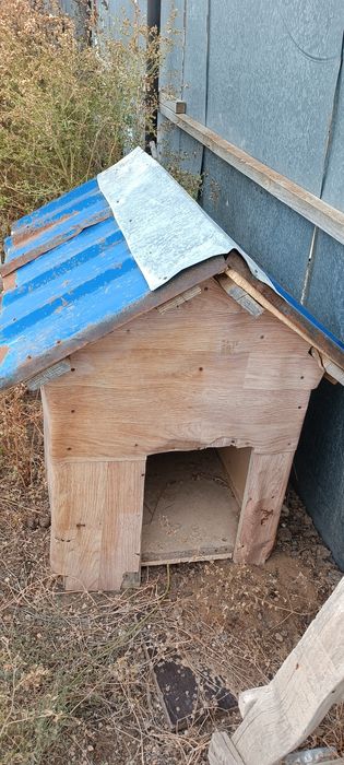 Иттің ұясы ағаштан жасалған