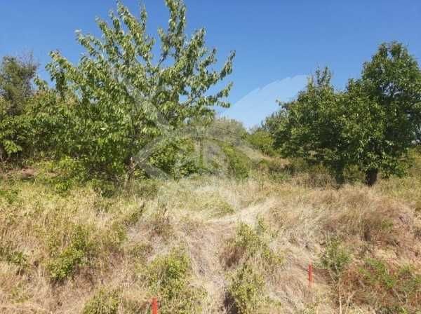 Продава се Парцел в с. Руен, Област Пловдив - 721 кв.м за 16 €/кв.м - Снимка #2