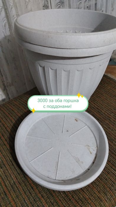 Продам ящики для рассады!