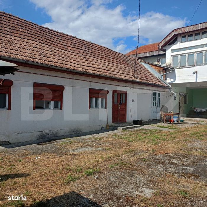 Casa individual, 336 mp, zona Unirii