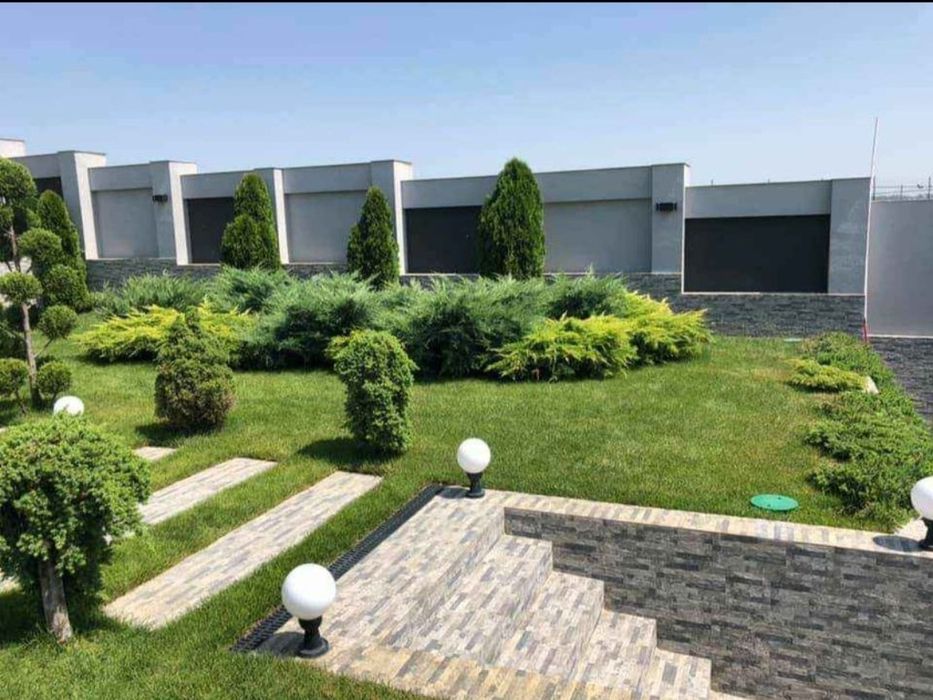 Cupressus leylandii 1.5m - 4m gard viu natural si gazon rulou sport!