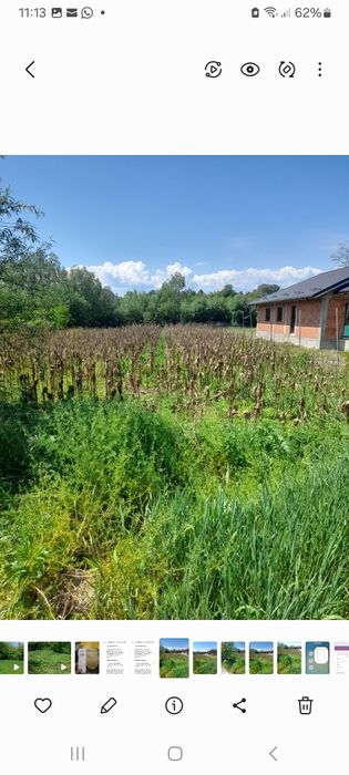 Teren intravilan  1600 metri pătrați Girov-Botesti.