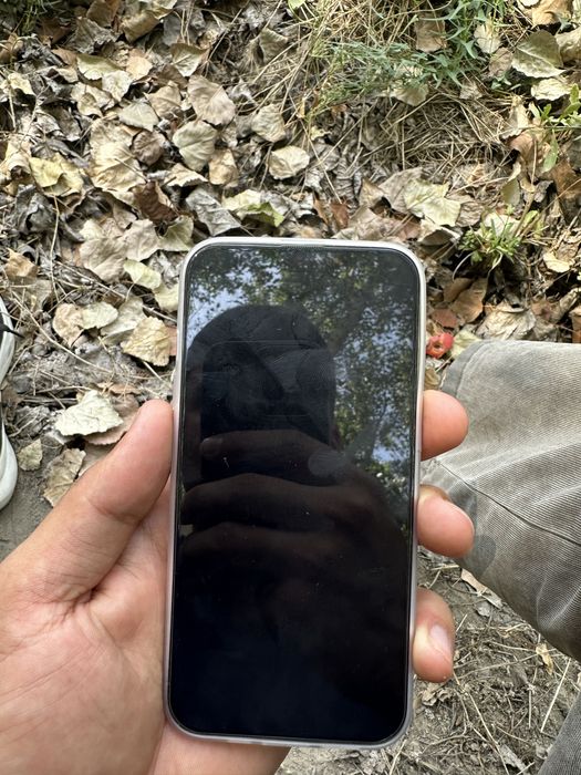 Iphone 13 pro ideal