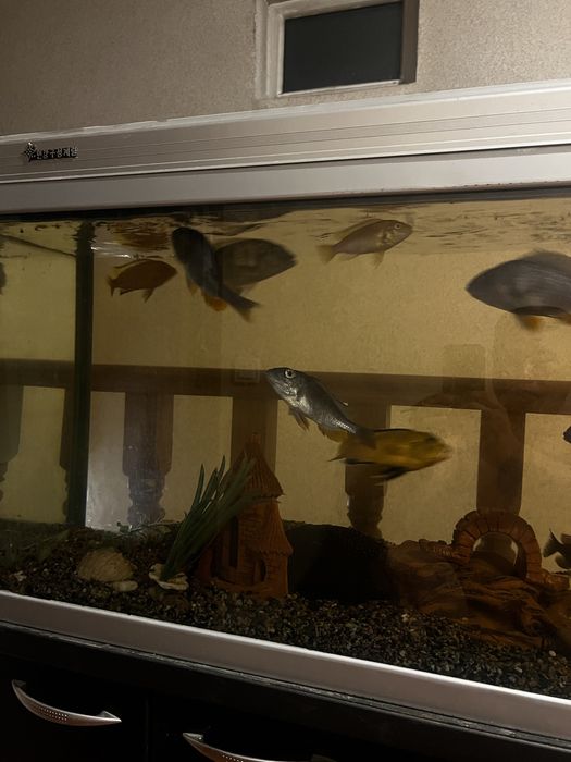 Аквариум 220 литров с тумбой