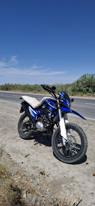 Jelmaia 300 м 25