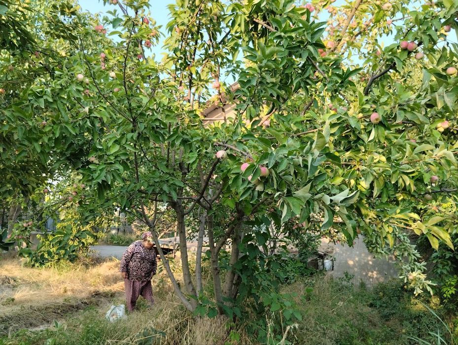 Срочно продаётся дача 6 сотох