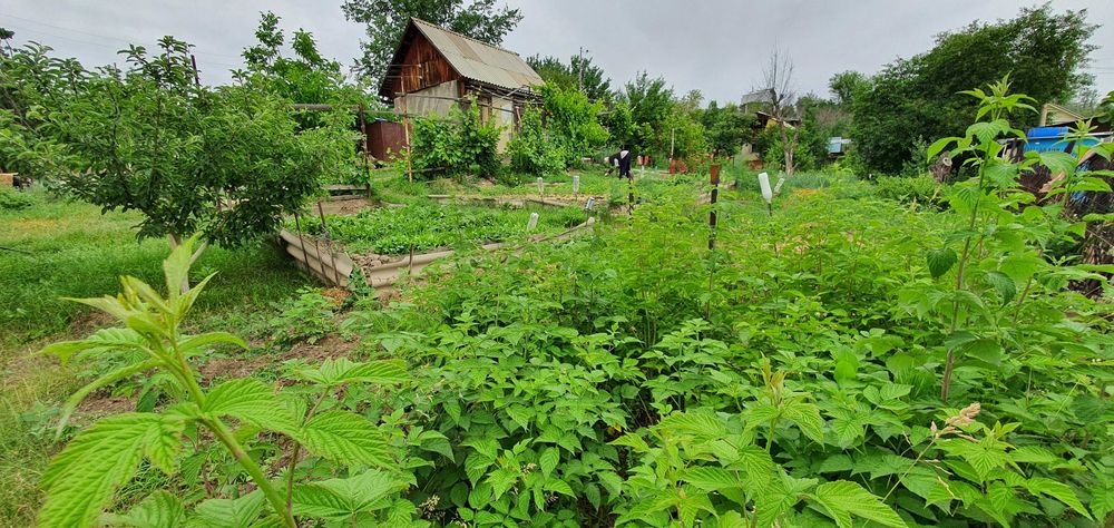 Продам дачу 18 соток