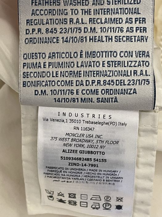Jacheta superba L