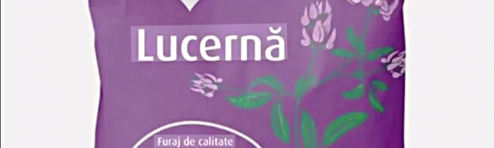 Sămânță de lucerna Letizia