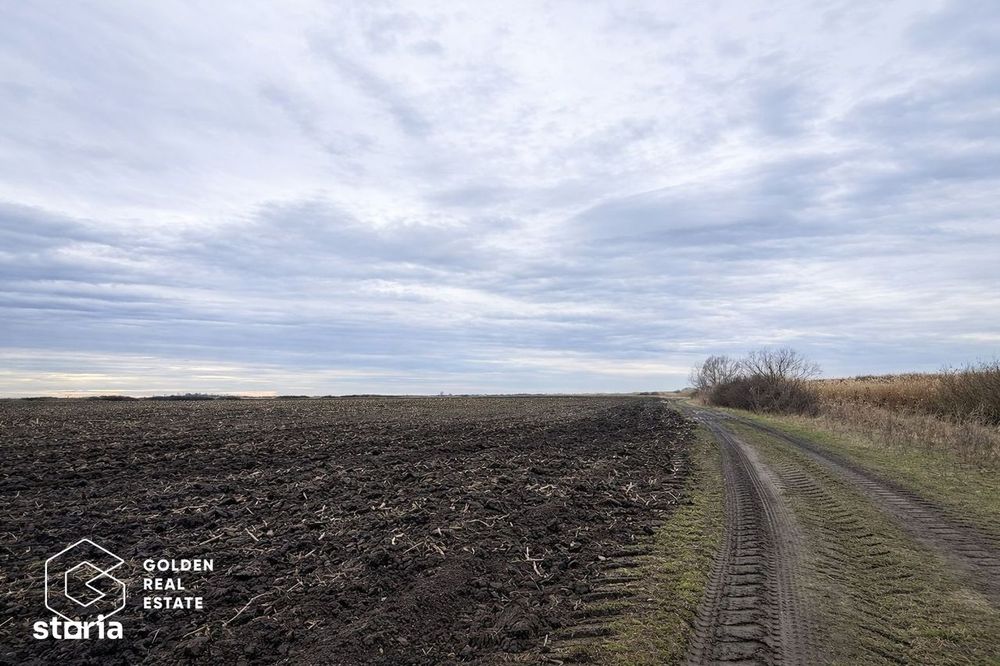 Teren agricol de vanzare, 17.900 mp, comuna Utvin