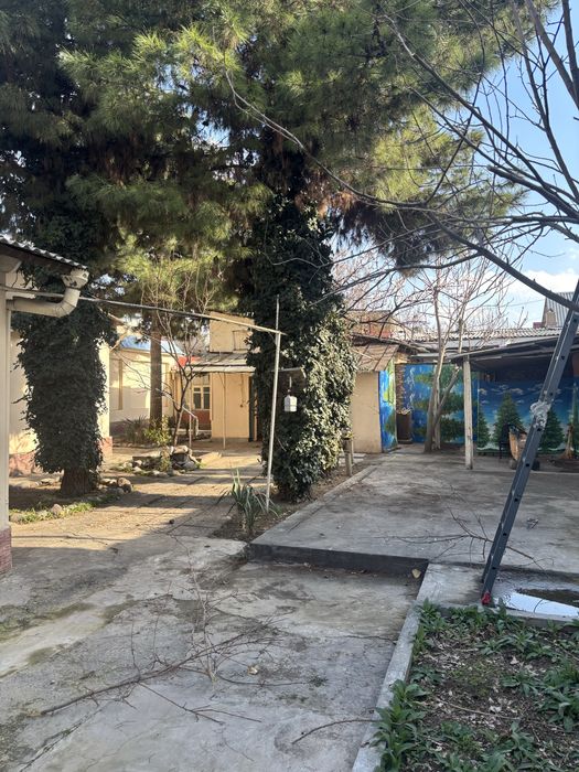 Аренда.   Дом.   Яккасараский.  Район.   Орентир.   Ул.  Иевлева.