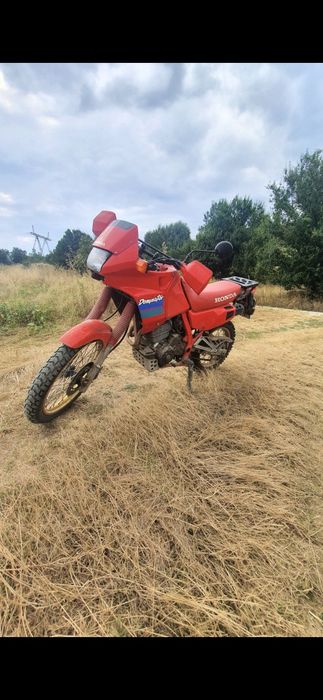 Honda NX  650  Dominator