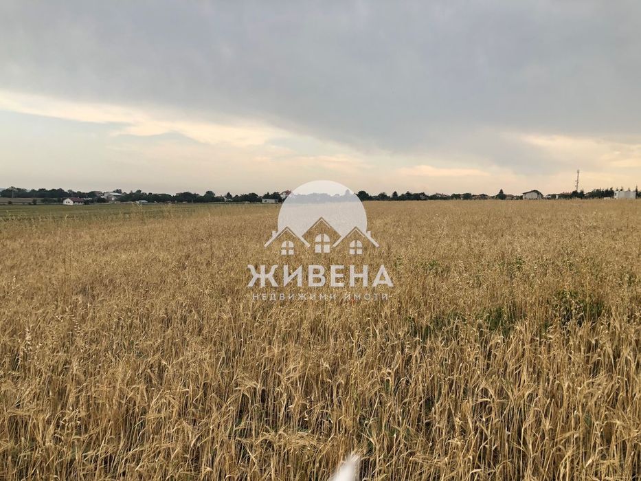 Продава се Парцел в с. Кичево, Област Варна - 4200 кв.м за 30 €/кв.м - Снимка #2