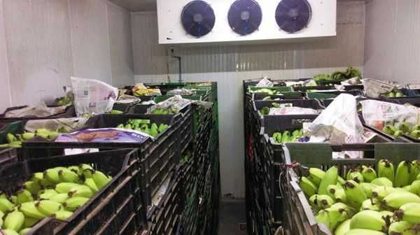 Рефрижератор- под заказ с температурой от -25°C до +10°C