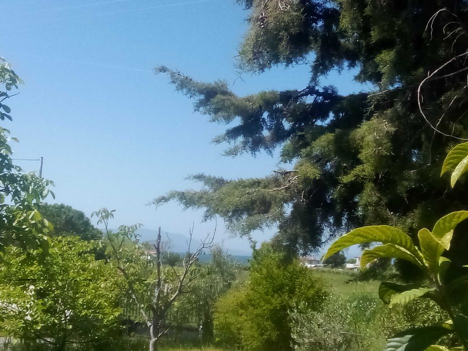 Дава под наем  озаведено бунгало до брега в Карияни-2500 евро/годишно.