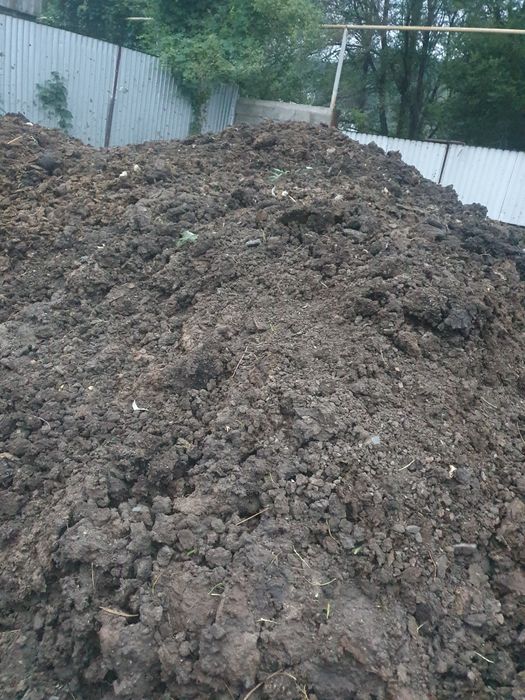 Навоз коныи каровыи смешные