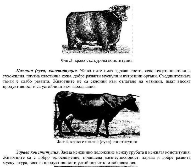 Развърждане на селскостопански животни - теми