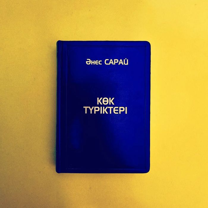 Көк түріктер Әнес Сарай тарихи кітаптар