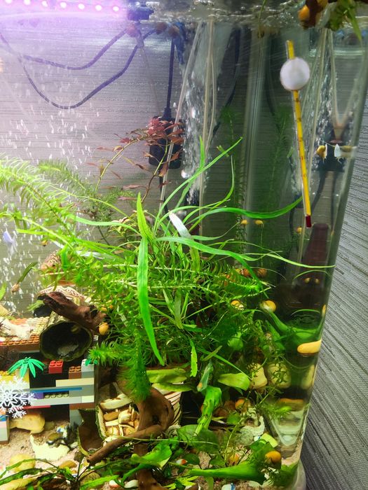 Аквариум 220 литров