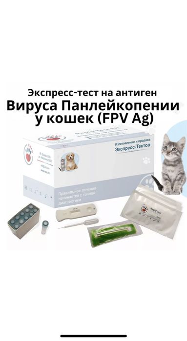 Кошка панлейкопения
