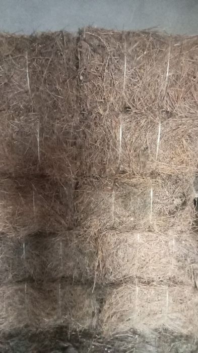 Тюки. Түк шөп. Тиімді бағада Сено в тюках.