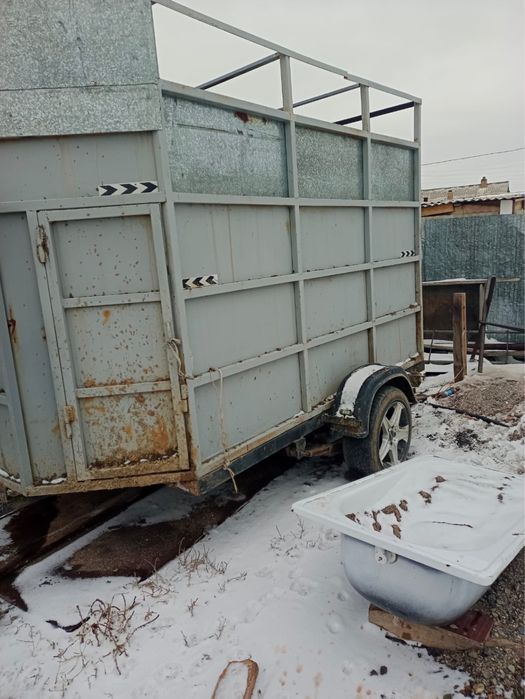 Коневозка двух местный