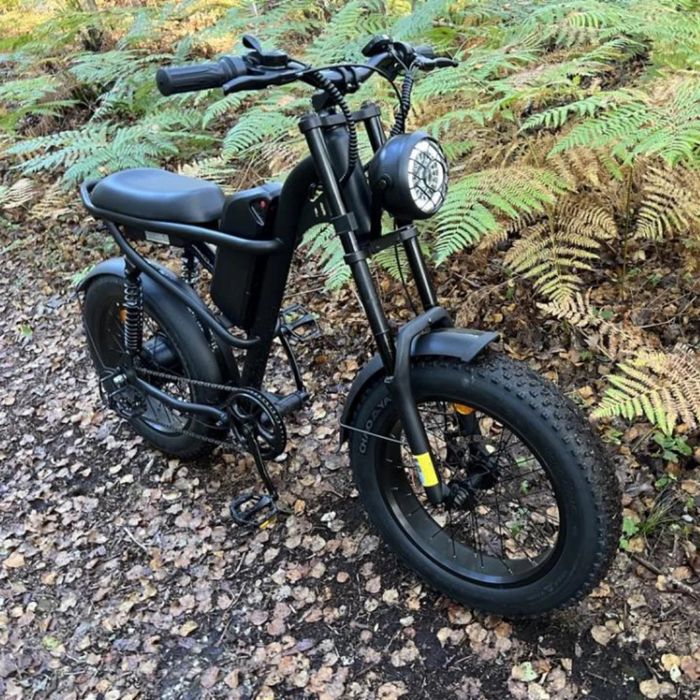 Електрически велосипед RIDING TIMES Z8