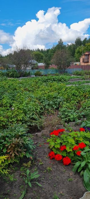 Дачу в обществе Гудок