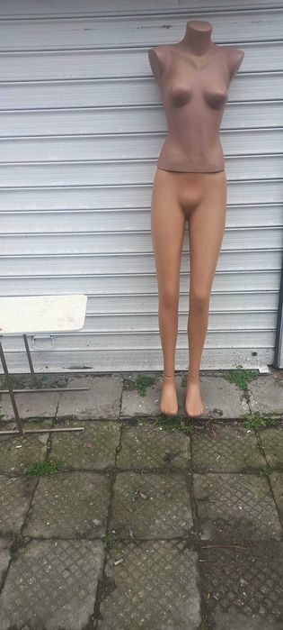 Жемски манекен и мъжки торс