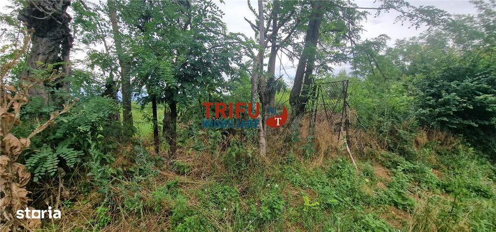Teren intravilan de vânzare în Straja – ideal pentru casă de vacanță s