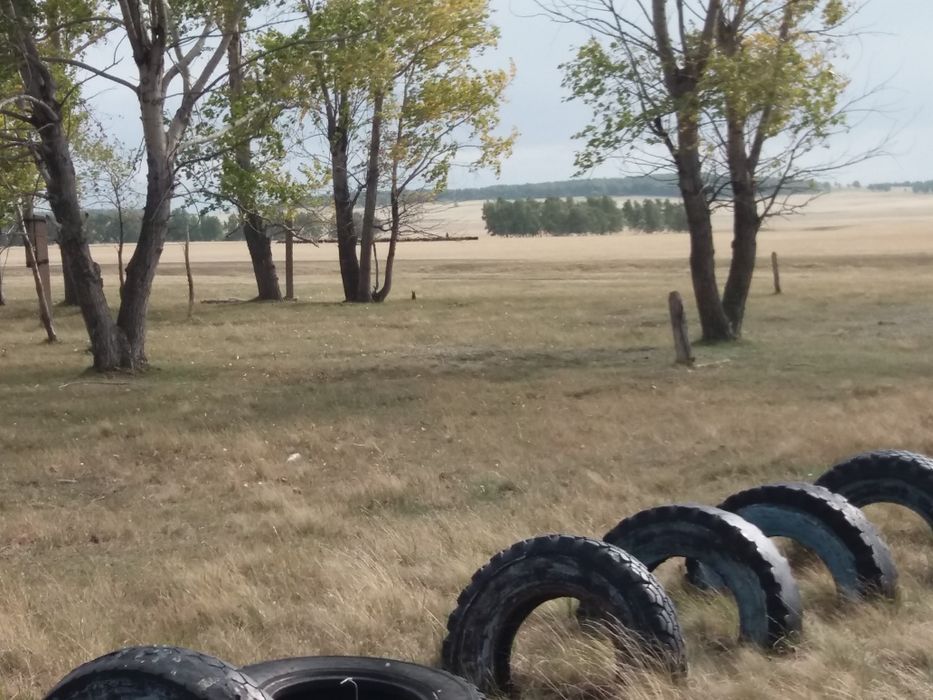 Фазенда. Продам фазенду