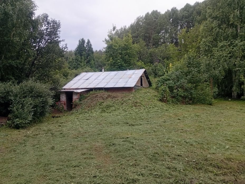 Дача с пасекой (за Тарханкой)