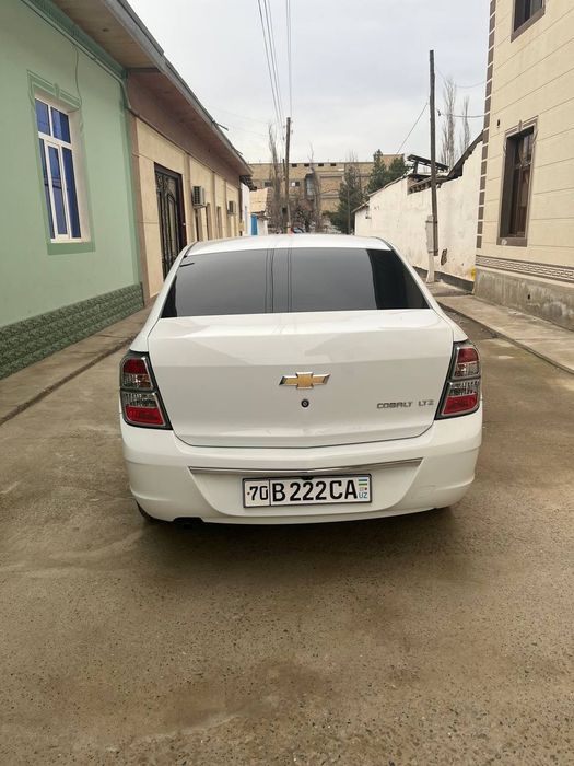 Cobalt Midnight 2025