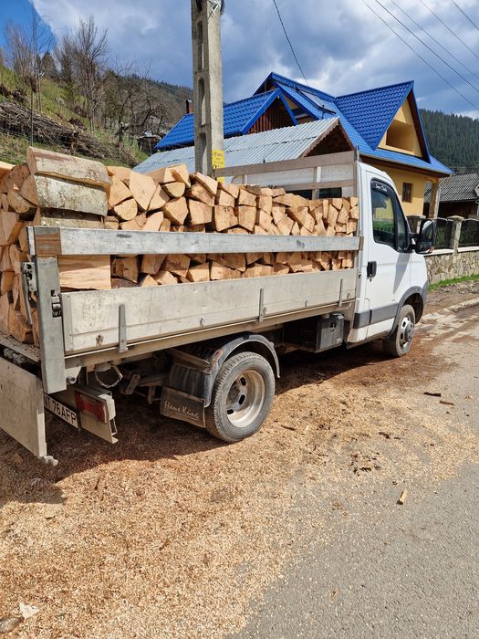 Lemne de foc fag esenta tare