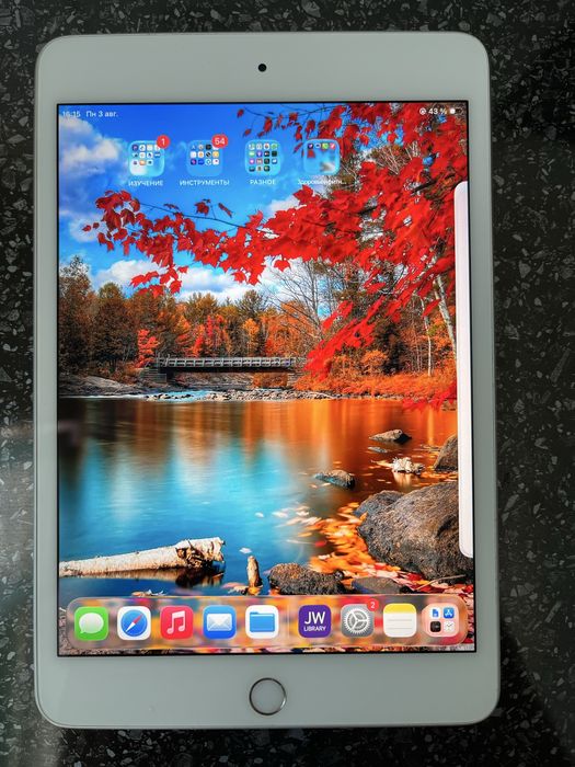 Айпад мини 5 apple