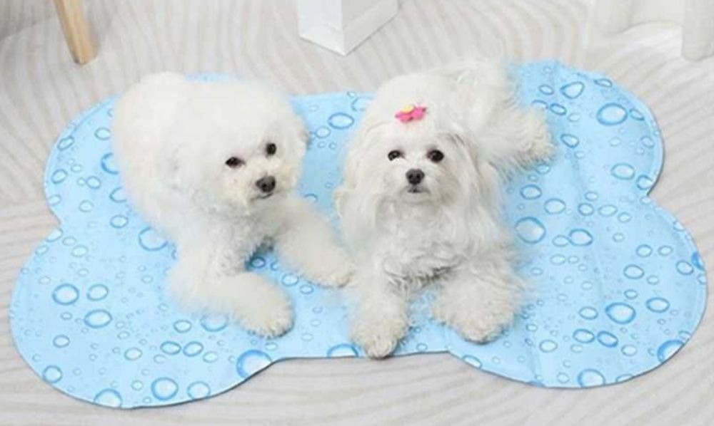 Охлаждаща постелка за домашен любимец, Охлаждаща постелка за куче