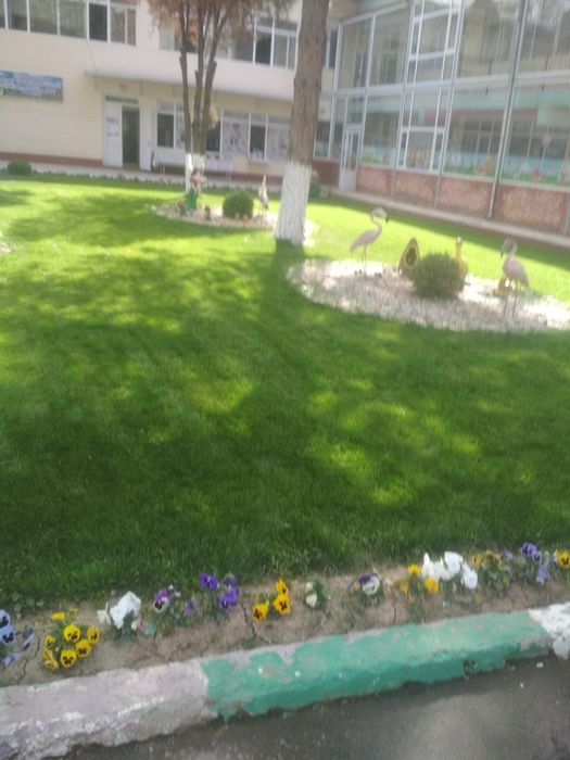 Gazoʻn sepish ximati. Kvadrat metri. 30000