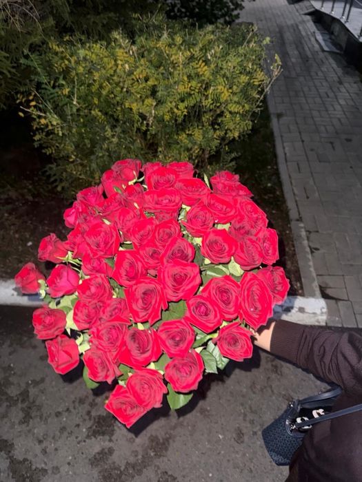 Длинные красные розы