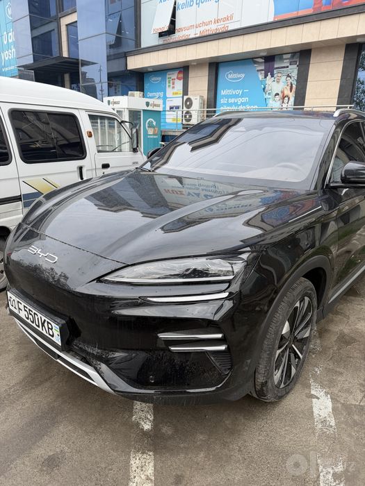 Byd champion restyle