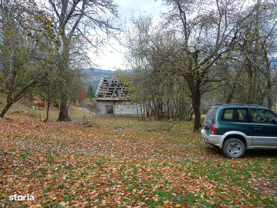 Casă + 4,4 ha (arabil, pășune, pădure), Scărișoara, Alba