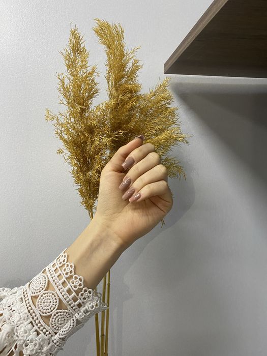 Маникюр/5000 тг/