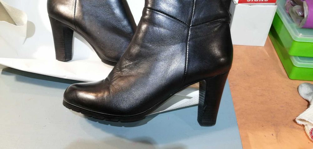 Женские ботфорты BASCONI на меху