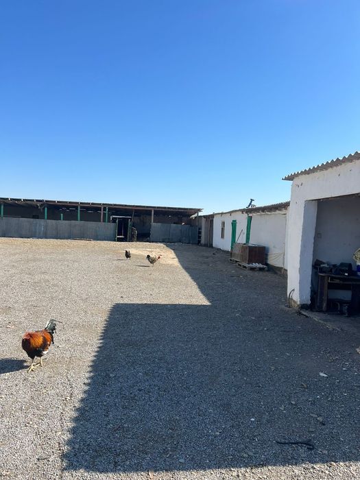 Үй сатылады жакаев