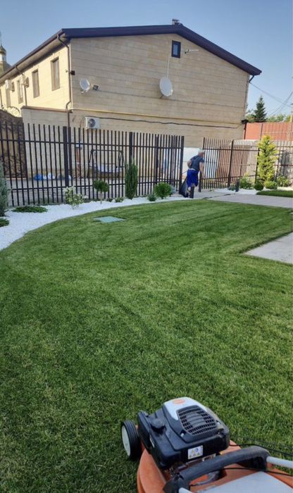 Газон англиский спортивный