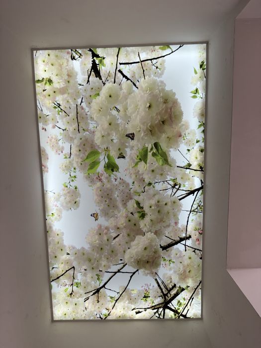 Natijnoy potolok | Натяжные потолки