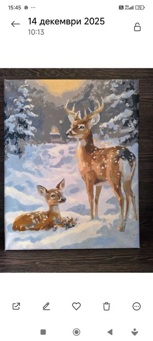 Акрилни платна с подрамка